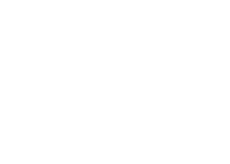 Bingo Golden Palace